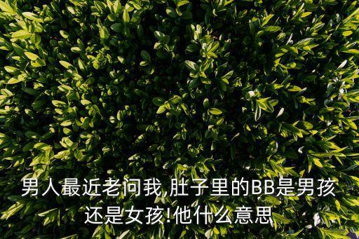 男人最近老問我,肚子里的BB是男孩還是女孩!他什么意思