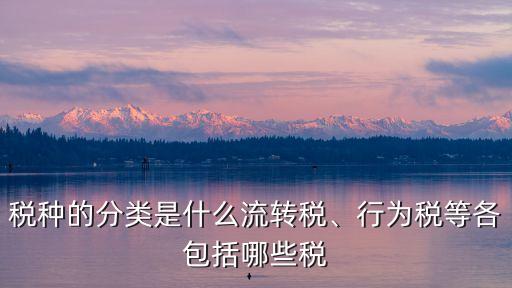 行為稅