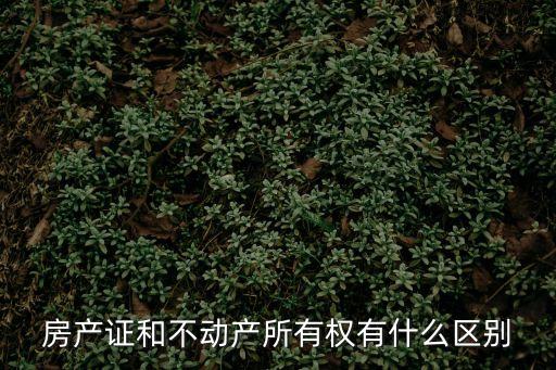 房產(chǎn)證和不動產(chǎn)所有權(quán)有什么區(qū)別