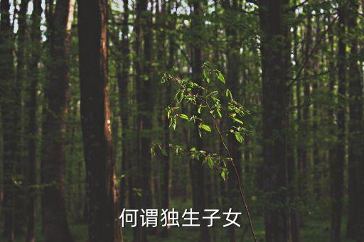 獨(dú)生子，何謂獨(dú)生子女