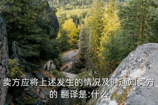 國際商務合同翻譯ppt