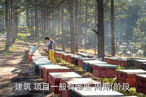項(xiàng)目建設(shè)周期,抽水蓄能項(xiàng)目建設(shè)周期
