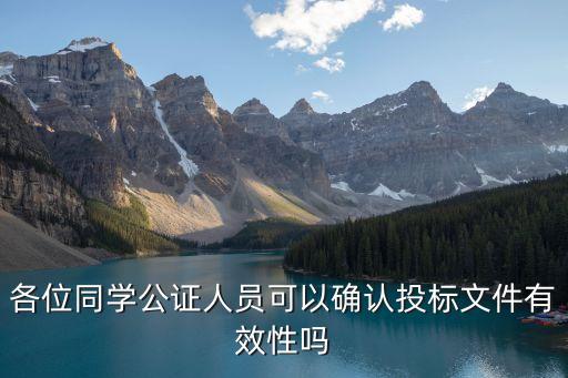 各位同學(xué)公證人員可以確認(rèn)投標(biāo)文件有效性嗎