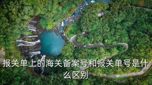報(bào)關(guān)單號(hào)，出口時(shí)報(bào)關(guān)單號(hào)在哪看幾位