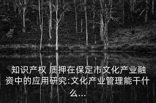  知識產(chǎn)權 質(zhì)押在保定市文化產(chǎn)業(yè)融資中的應用研究:文化產(chǎn)業(yè)管理能干什么...