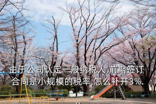 由于公司認(rèn)定一般納稅人,前期簽訂 合同是小規(guī)模的稅率,怎么補(bǔ)開3%...