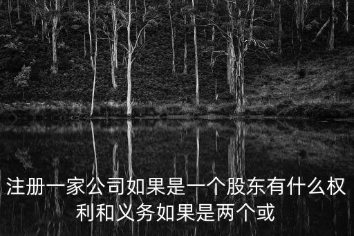 注冊一家公司如果是一個股東有什么權(quán)利和義務(wù)如果是兩個或