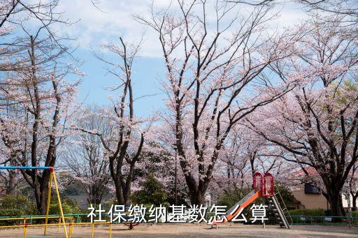 社保繳納基數(shù)怎么算