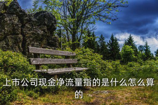 凈流量，上市公司現(xiàn)金凈流量指的是什么怎么算的