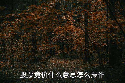 竟價(jià),競價(jià)漲停試盤意味著什么