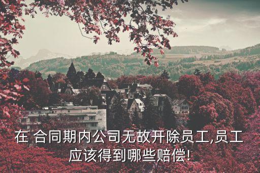 勞動(dòng)合同期間被辭退