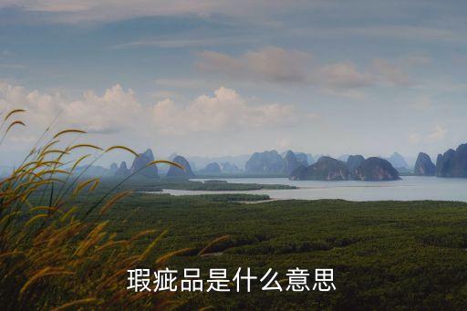 瑕疵品是什么意思