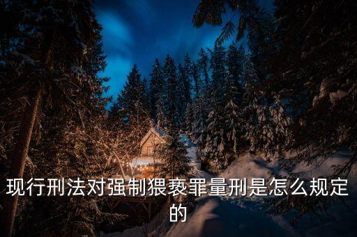 猥褻罪，猥褻罪是什么意思