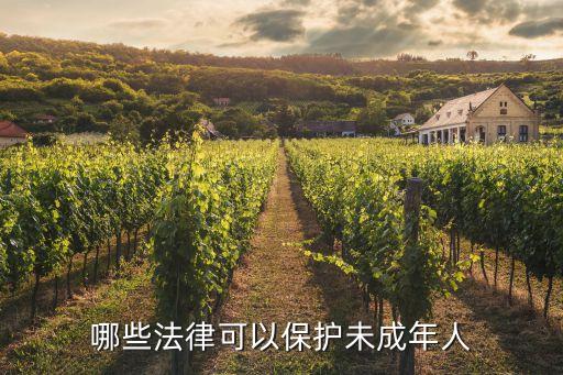 哪些法律可以保護(hù)未成年人