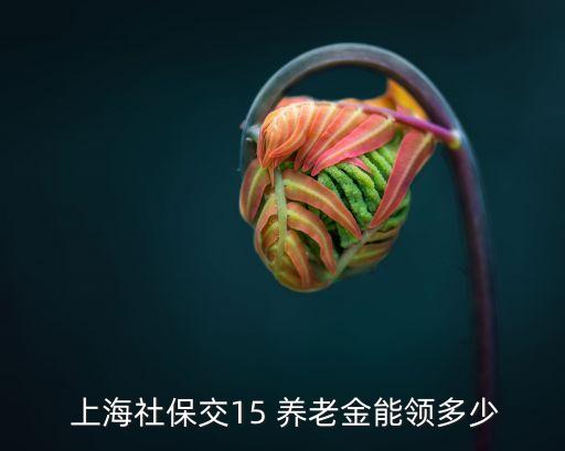 上海養(yǎng)老保險(xiǎn)