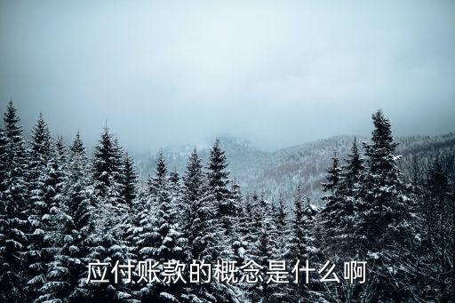 應(yīng)付賬款的概念是什么啊