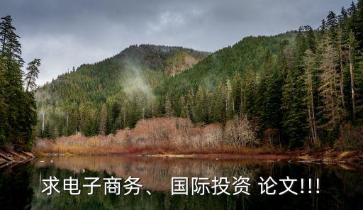 求電子商務(wù)、 國(guó)際投資 論文!!!