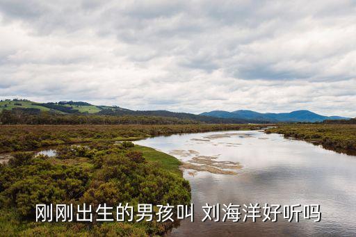 劉海洋