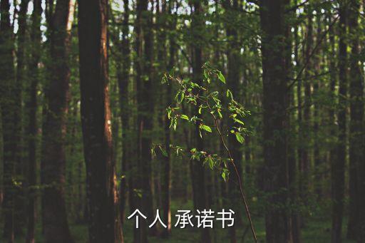 承諾人