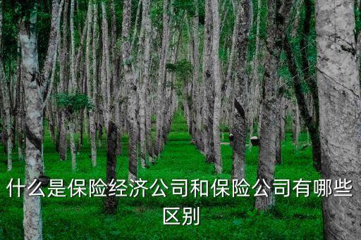 保險經(jīng)濟，什么是保險經(jīng)濟公司和保險公司有哪些區(qū)別
