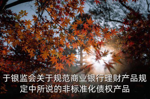 于銀監(jiān)會關于規(guī)范商業(yè)銀行理財產品規(guī)定中所說的非標準化債權產品