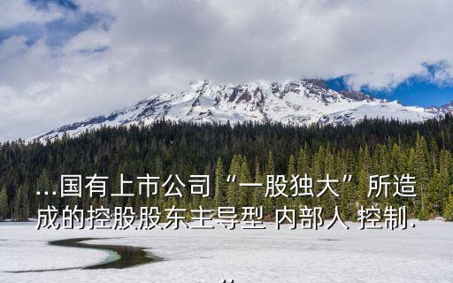 內(nèi)部人控制,強化內(nèi)部人控制