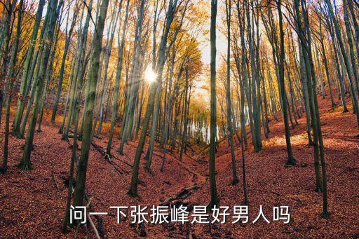 問一下張振峰是好男人嗎
