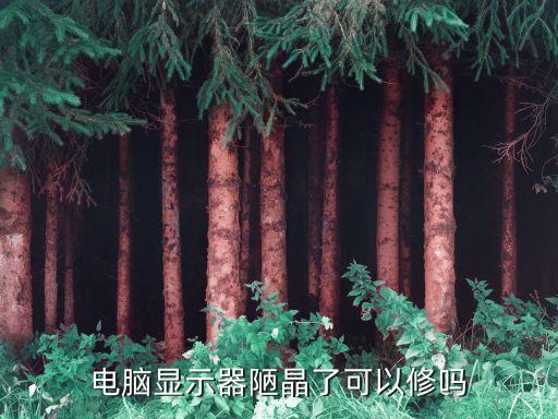 修晶，電腦顯示器陋晶了可以修嗎