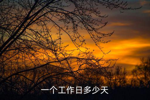 一個(gè)工作日，一個(gè)工作日多少天