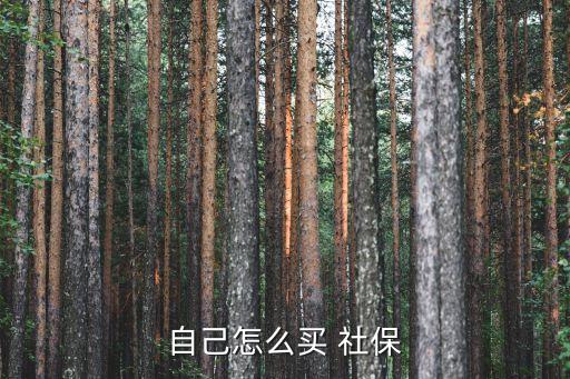 自己怎么買 社保