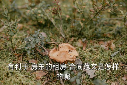 出租房屋合同怎么寫對房東有利