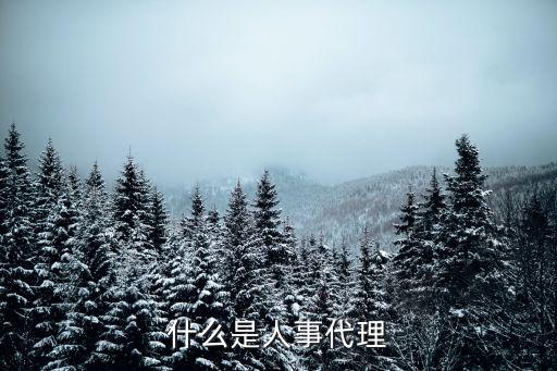 什么是人事代理