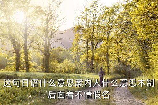 這句日語(yǔ)什么意思案內(nèi)人什么意思木制后面看不懂假名