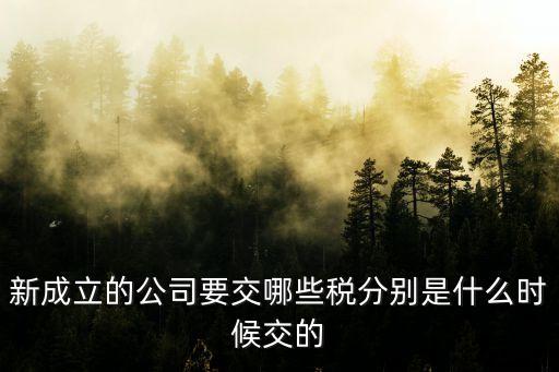 新企業(yè)所得稅,金銀首飾以舊換新企業(yè)所得稅