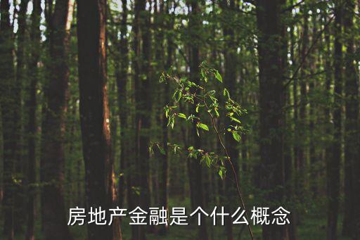 房地產(chǎn)金融是個什么概念