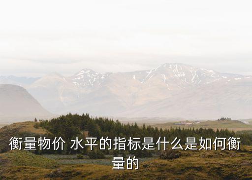 衡量物價(jià) 水平的指標(biāo)是什么是如何衡量的
