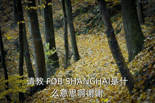 fob上海，CIF上海和FOB上海有什么區(qū)別