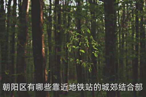 城郊結(jié)合部，城郊結(jié)合部做什么生意