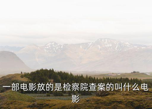 極度隱私，一部電影放的是檢察院查案的叫什么電影