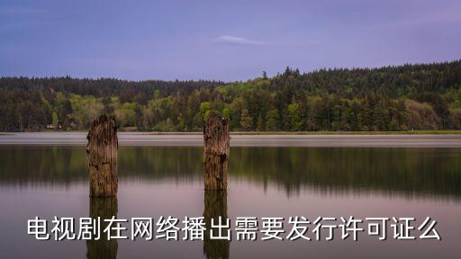 電視劇備案