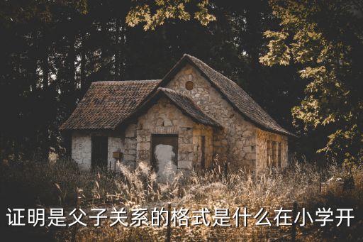 怎么證明父子關系，證明是父子關系的格式是什么在小學開