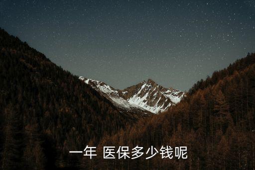  一年 醫(yī)保多少錢呢