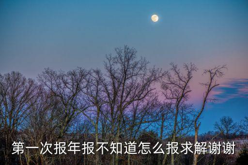 年報(bào)怎么報(bào)，如何做年報(bào)