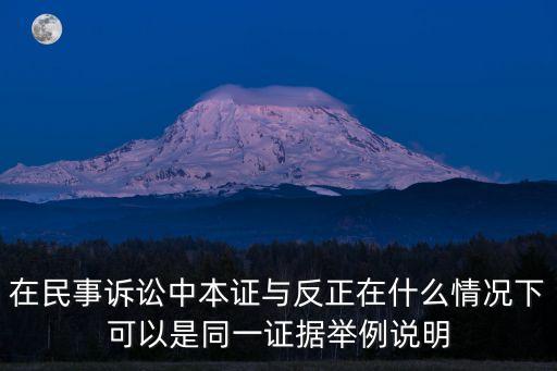 在民事訴訟中本證與反正在什么情況下可以是同一證據(jù)舉例說明