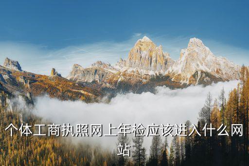 個(gè)體工商執(zhí)照網(wǎng)上年檢應(yīng)該進(jìn)入什么網(wǎng)站