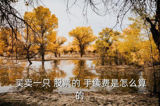 買賣一只 股票的 手續(xù)費(fèi)是怎么算的