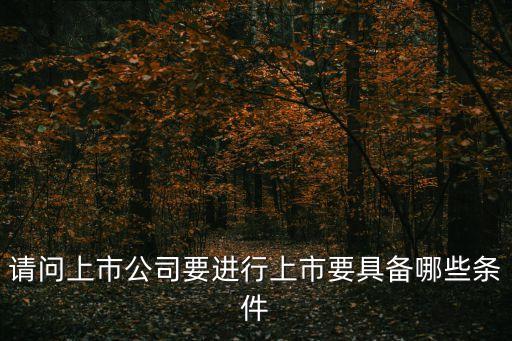 上市，關(guān)于公司上市