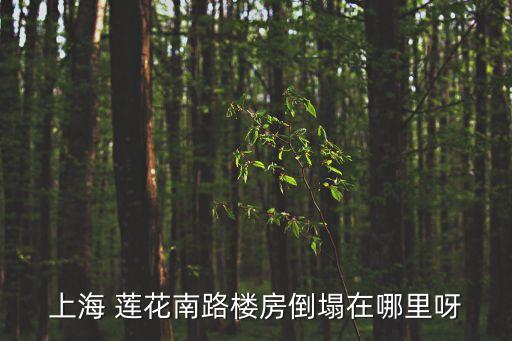 上海 蓮花南路樓房倒塌在哪里呀