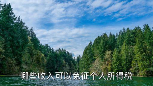 個(gè)人所得稅免征，個(gè)人所得稅有無減免