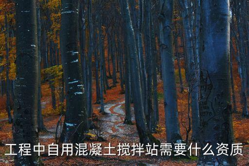 工程中自用混凝土攪拌站需要什么資質(zhì)